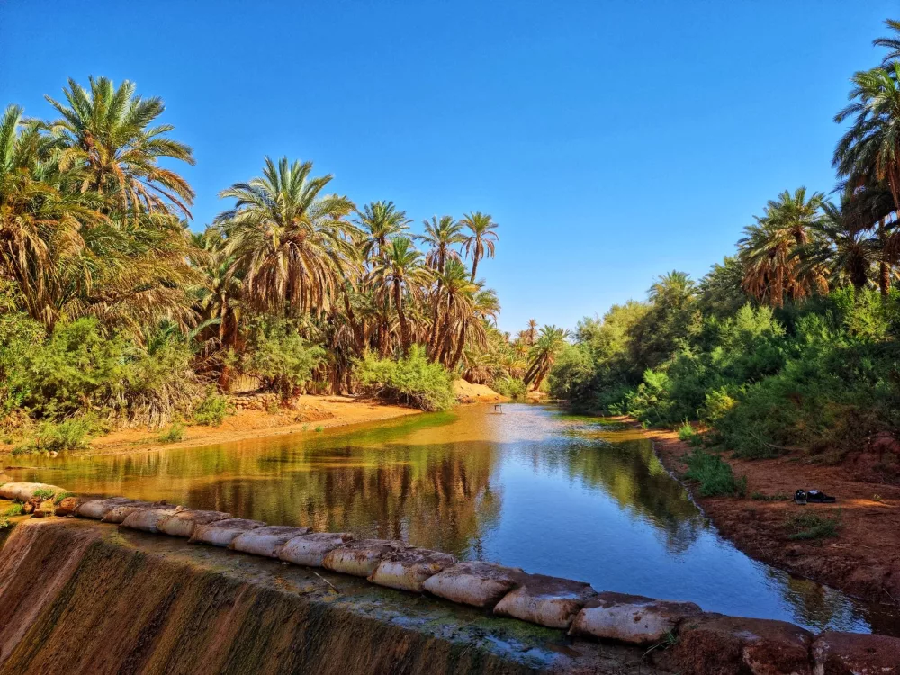 The Miraculous Green Heart of Deserts: Unveiling the Oasis